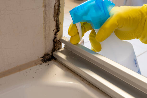 Best Residential Mold Removal  in Spencer, WI