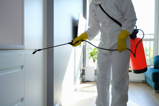 Best Mold Cleaning Services  in Spencer, WI