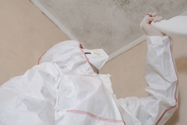 Best Residential Mold Removal  in Spencer, WI