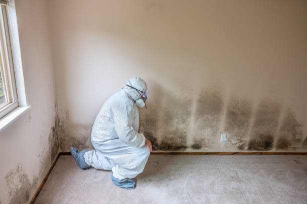 Best Residential Mold Removal  in Spencer, WI