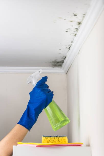 Best Mold Remediation Services  in Spencer, WI